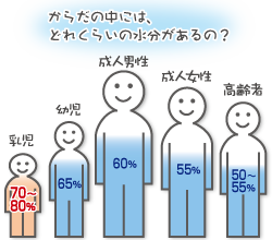 年齢別体液量