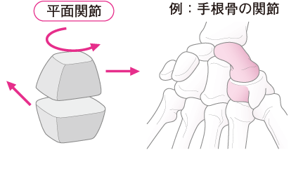 カラダ豆知識 関節 ストレッチアップ 定額制のストレッチ専門店 カラダ豆知識 関節 ストレッチアップ 定額制のストレッチ専門店