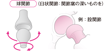 ソース画像を表示