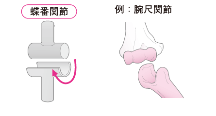 カラダ豆知識 関節 ストレッチアップ 定額制のストレッチ専門店