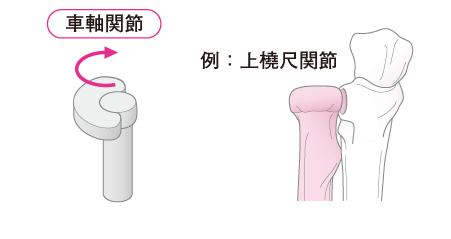 カラダ豆知識 関節 ストレッチアップ 定額制のストレッチ専門店