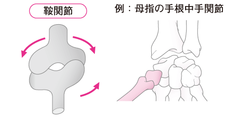 カラダ豆知識 関節 ストレッチアップ 定額制のストレッチ専門店 カラダ豆知識 関節 ストレッチアップ 定額制のストレッチ専門店