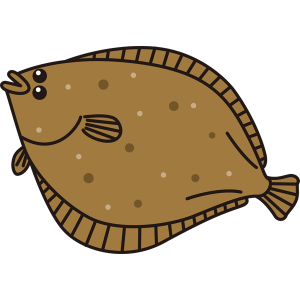 fish_13