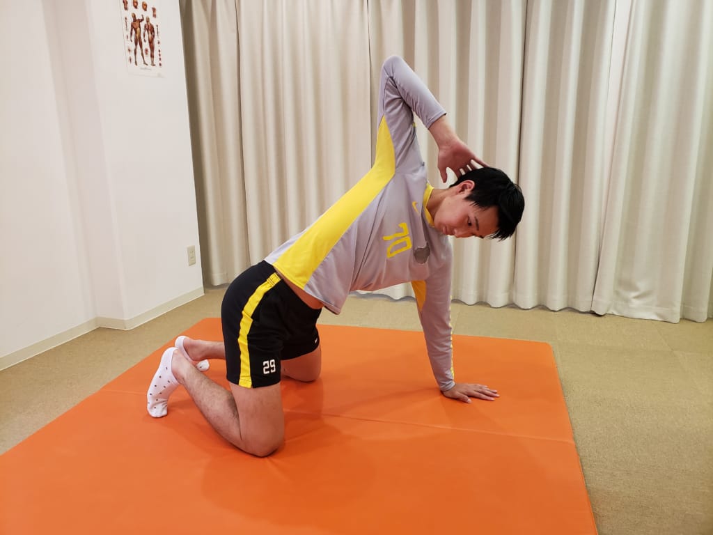 ストレッサンのリーフレット